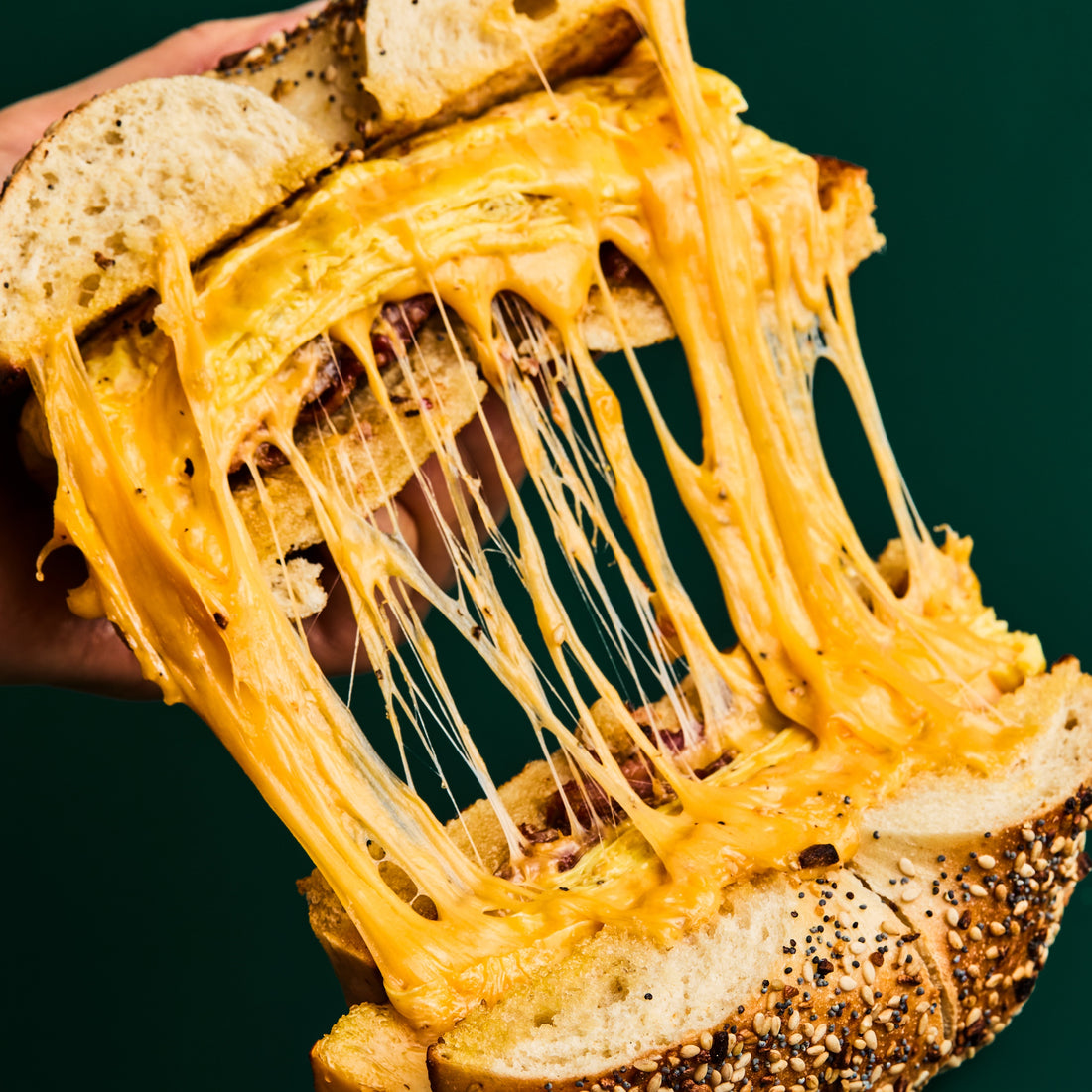 A bacon, egg and cheese on an everything bagel pulled apart, cheese stretching between the halves